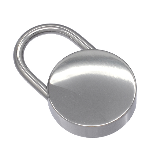 Disc Lock 2.4mm gauge hasp